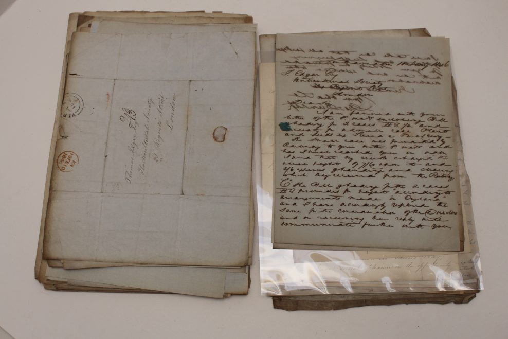 Royal Horticultural Society Plant Hunter Collections