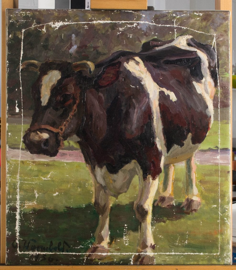 Painting, oil on canvas, Portrait of a Cow