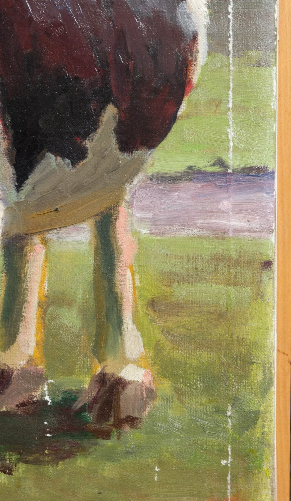 Painting, oil on canvas, Portrait of a Cow