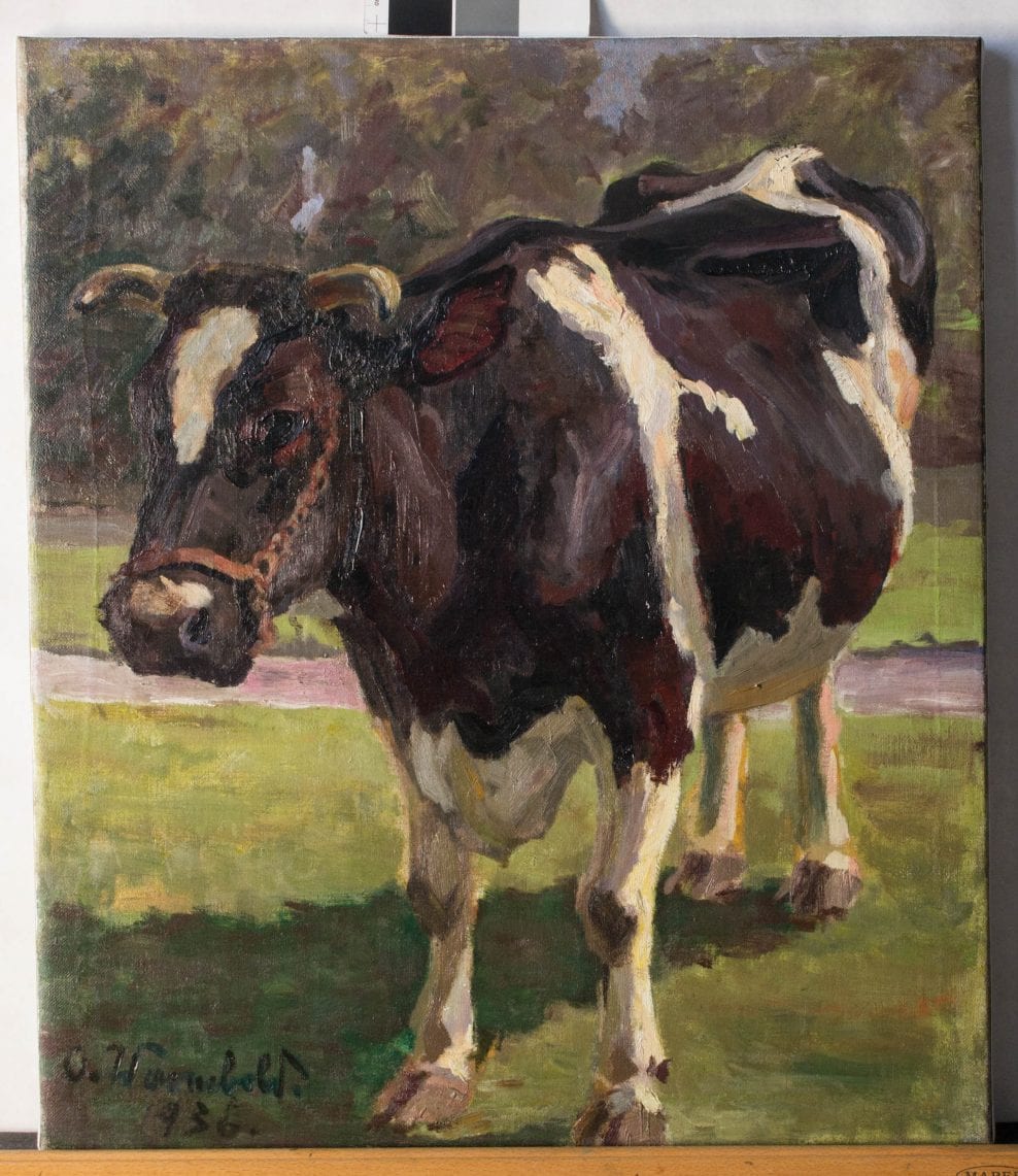 Painting, oil on canvas, Portrait of a Cow