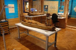 Mummy and coffin in public gallery