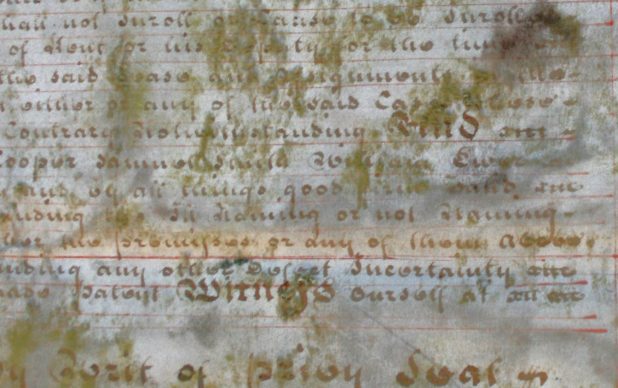 Conservation of a Parchment Deed
